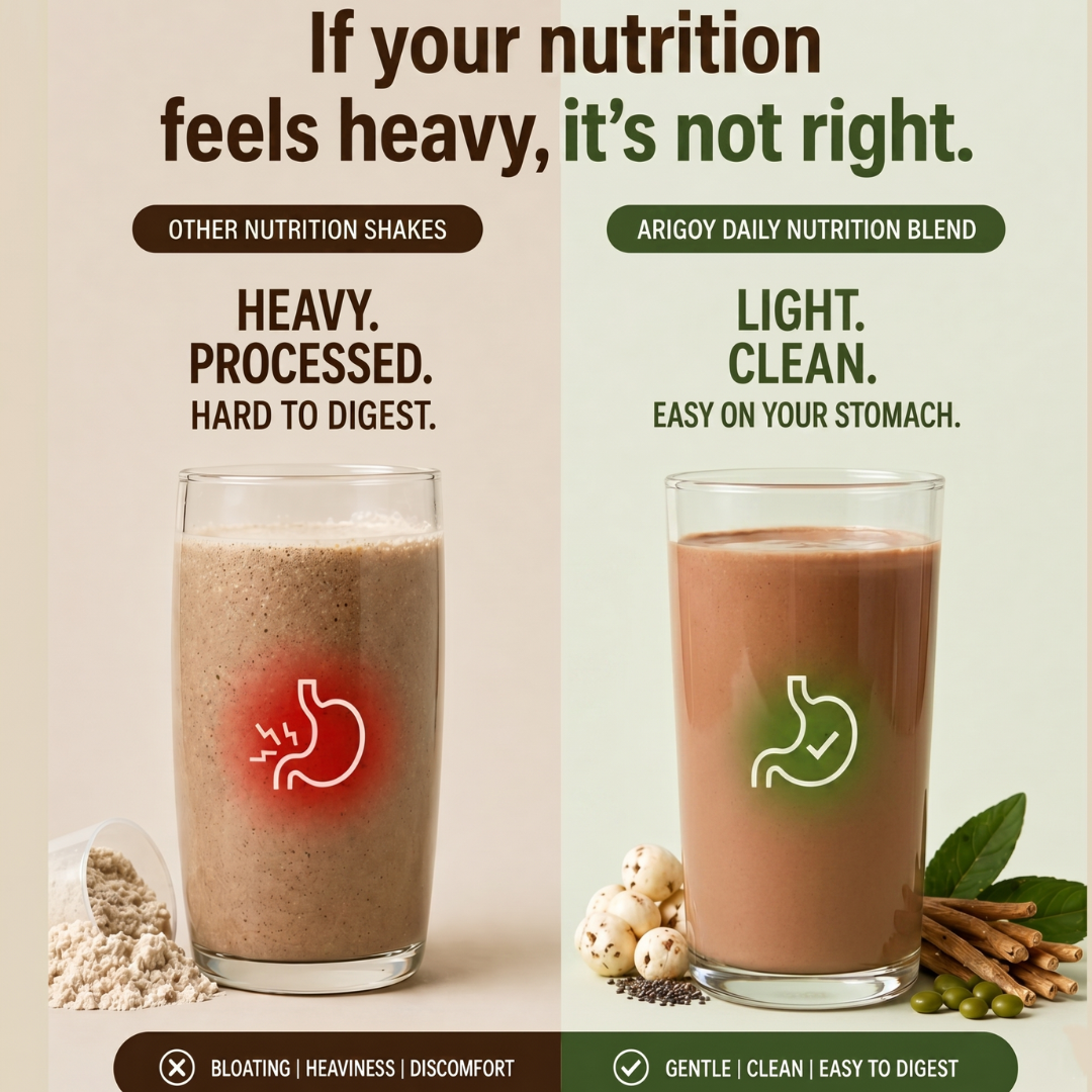 The Everyday Nutrition Blend